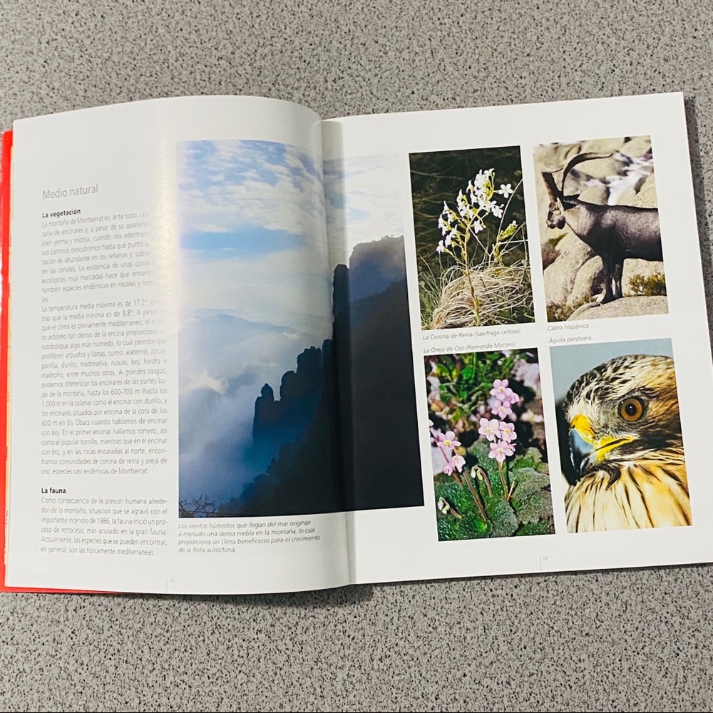๐ด ๐ Monserrat Monastery Book - Picture 2 of 6